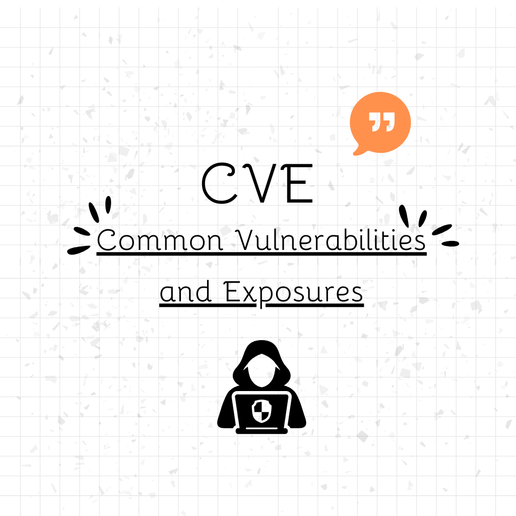 Tout savoir sur les CVE